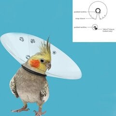 Ошейник для птиц Isabelino KVP Saftshield Прозрачный (12-14 cm) цена и информация | Средства по уходу за животными | 220.lv