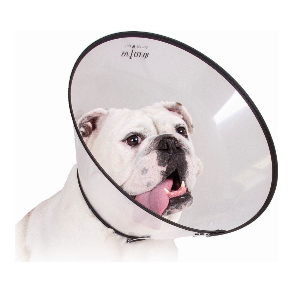 Pēcoperācijas apkakle suņiem KVP Saf-T-Clear, caurspīdīga (15-23 cm) цена и информация | Apģērbi suņiem | 220.lv