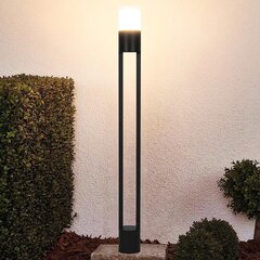 Kingwen LED lampa, laterna, 10W, 3000K, IP65, 100cm, melna cena un informācija | Āra apgaismojums | 220.lv