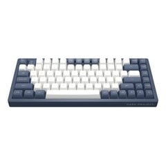 Dark Project KD83A Blue-White, G3MS Sapphire Switch, RU цена и информация | Клавиатуры | 220.lv