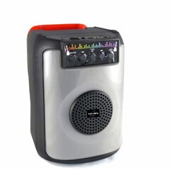 Портативный Bluetooth-динамик Inovalley FIRE01 40 W Karaoke цена и информация | Аудиоколонки | 220.lv