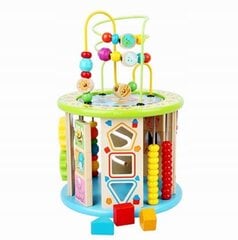 Izglītojošs kubs montessori RoyaliTo_PL 11W1 цена и информация | Развивающие игрушки | 220.lv