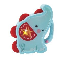 Музыкальная игрушка Fisher Price цена и информация | Игрушки для малышей | 220.lv