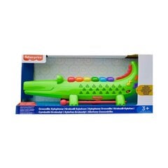 Музыкальная игрушка Fisher Price цена и информация | Игрушки для малышей | 220.lv