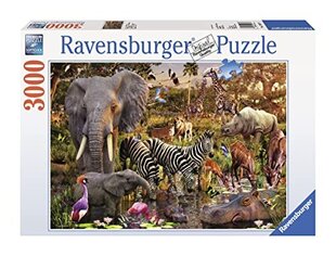 Пазл «Африканские животные», Ravensburger, 3000 деталей  цена и информация | Пазлы | 220.lv