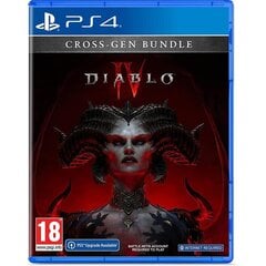 Diablo IV, PlayStation 4 - Game цена и информация | Компьютерные игры | 220.lv