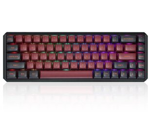 Darmoshark K5 беспроводная механическая клавиатура с подсветкой RGB (US, Hot-swap, RED switch V3) Black цена и информация | Клавиатуры | 220.lv