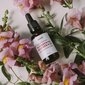 Serums sejai naktssveces/baobabs/mirras/sandalkoks un pačūlija Iossi, 30 ml cena un informācija | Serumi sejai, eļļas | 220.lv