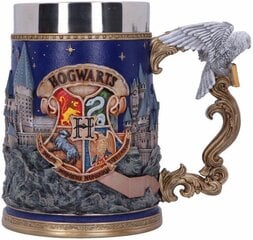 Harry Potter Hogwarts 600 ml цена и информация | Атрибутика для игроков | 220.lv