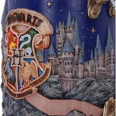 Harry Potter Hogwarts 600 ml цена и информация | Атрибутика для игроков | 220.lv