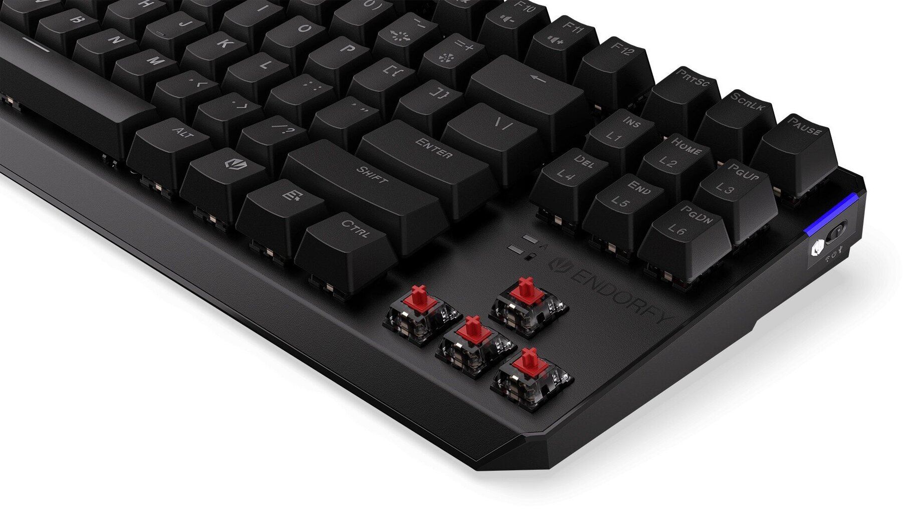 Endorfy Thock TKL RGB Kailh Red Switch cena un informācija | Klaviatūras | 220.lv