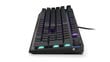Endorfy Thock bezvadu mehāniskā klaviatūra ar RGB (US, Kailh Red Switch) cena un informācija | Klaviatūras | 220.lv