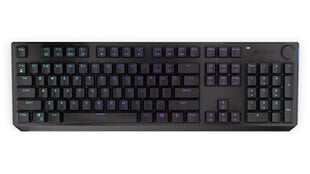 Endorfy Thock беспроводной механическая клавиатура с подсветкой RGB (US, Kailh Red Switch) цена и информация | Клавиатуры | 220.lv