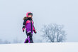 Didriksons bērnu ziemas kombinezons BJÄRVEN, violeta-fuksija цена и информация | Ziemas apģērbs bērniem | 220.lv
