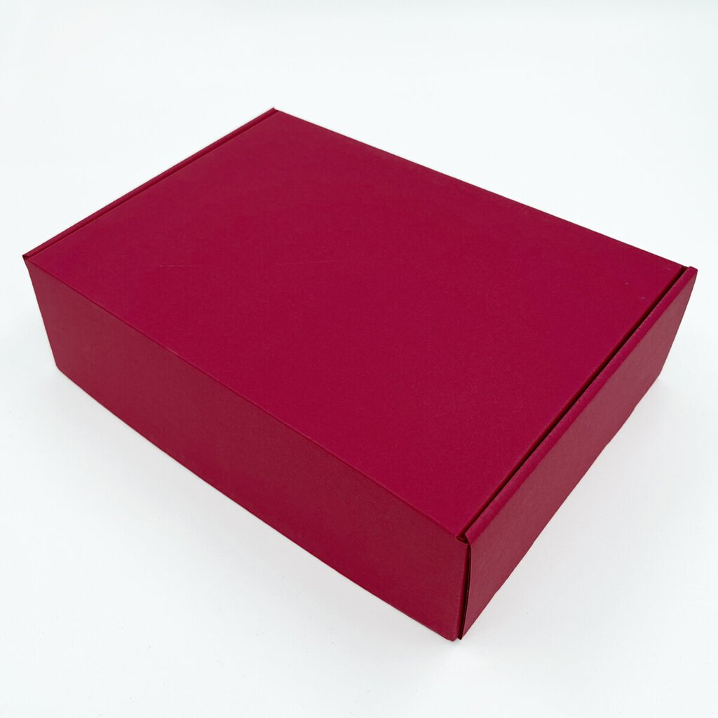 Premium dāvanu kaste, 305x215x85mm цена и информация | Dāvanu saiņošanas materiāli | 220.lv