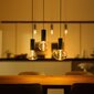 Philips lampas vads Lightguide Cord cena un informācija | Lustras | 220.lv