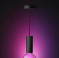 Philips lampas vads Lightguide Cord cena un informācija | Lustras | 220.lv