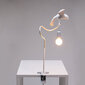 Seletti galda lampa Sparrow Cruising цена и информация | Galda lampas | 220.lv