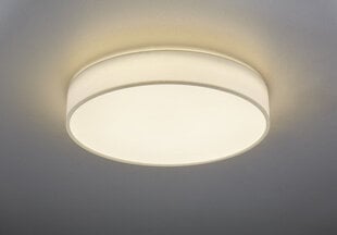 Потолочный светильник Trio Lugano цена и информация | Потолочные светильники | 220.lv