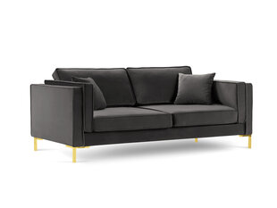 Четырехместный диван Luis 4, темно-серый/золотистый цена и информация | Диваны | 220.lv