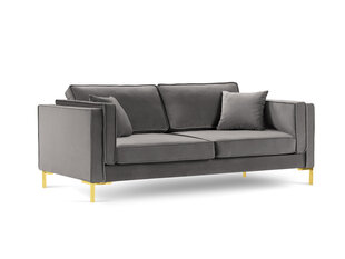 Четырехместный диван Luis 4, светло-серый/золотистый цена и информация | Диваны | 220.lv
