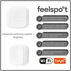 Viedais ainas kontrolieris Feelspot FS-WSW01W Wi-Fi, Tuya цена и информация | Датчики | 220.lv