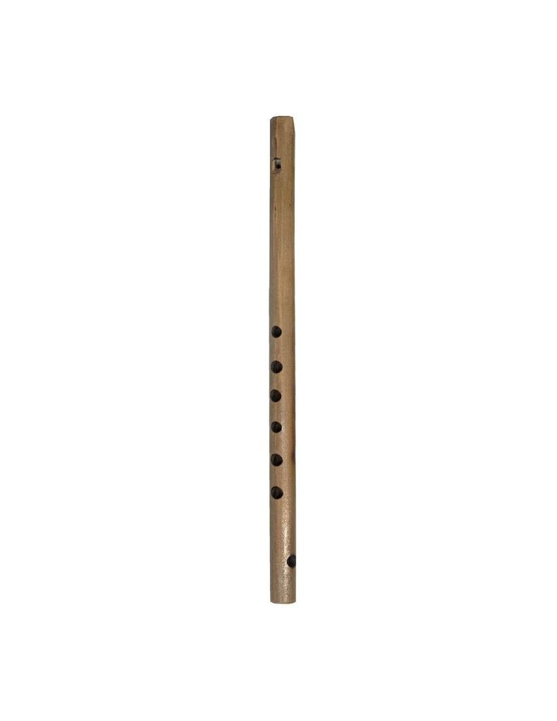 Bambusa flauta Terre 38640052 цена и информация | Pūšamie instrumenti | 220.lv