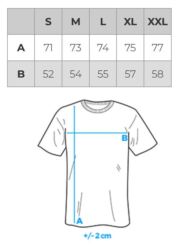T-krekls ar apdruku vīriešu kokvilna Ombre S1753 cena un informācija | Vīriešu T-krekli | 220.lv