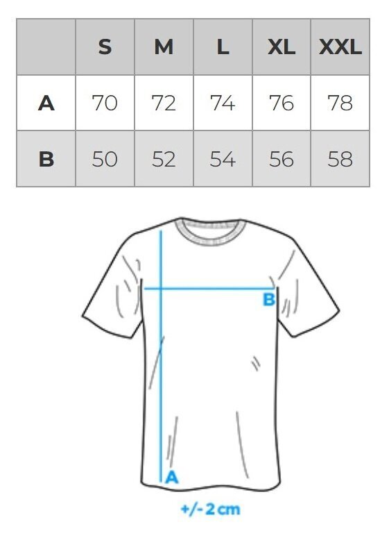 T-krekls ar apdruku vīriešu kokvilna Ombre S1752 cena un informācija | Vīriešu T-krekli | 220.lv