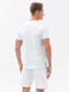T-krekls vīriešu kokvilna Ombre S1743 cena un informācija | Vīriešu T-krekli | 220.lv