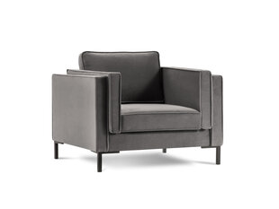 Кресло Luis 1, светло-серый/черный цвет цена и информация | Кресла в гостиную | 220.lv
