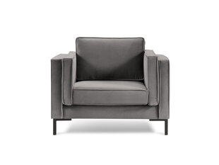 Кресло Luis 1, светло-серый/черный цвет цена и информация | Кресла в гостиную | 220.lv