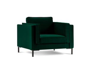 Krēsls Luis 1, zaļš/melns cena un informācija | Atpūtas krēsli | 220.lv