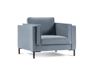 Krēsls Luis 1, gaiši zils/melns цена и информация | Кресла в гостиную | 220.lv
