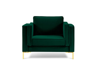 Krēsls Luis 1, zaļas/zeltainas krāsas cena un informācija | Atpūtas krēsli | 220.lv