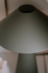 Globen Lighting galda lampa Cannes цена и информация | Настольные лампы | 220.lv