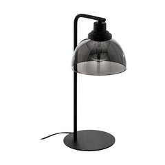 Eglo galda lampa 98386 цена и информация | Настольные лампы | 220.lv