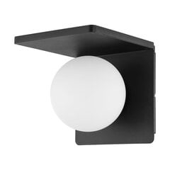 Настенный светильник Eglo Ciglie цена и информация | Настенные светильники | 220.lv