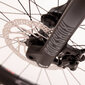 Kalnu velosipēds Rock Machine 29 Blizz CRB 30-29 Gloss sarkans (L) цена и информация | Velosipēdi | 220.lv