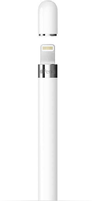 Apple Pencil (1st Generation) - MQLY3ZM/A цена и информация | Citi aksesuāri planšetēm un e-grāmatām | 220.lv