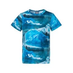 Lenne bērnu t-krekls Terry 23914*6589, zils/balts 4741593458309 cena un informācija | Zēnu krekli | 220.lv