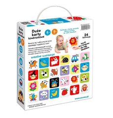 Большие контрастные карты для детей 6 и 9 месяцев + цена и информация | Развивающие игрушки | 220.lv