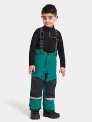 Детские зимние брюки Didriksons IDRE, зеленый цвет цена и информация | Зимняя одежда для детей | 220.lv