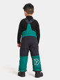 Детские зимние брюки Didriksons IDRE, зеленый цвет