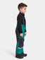 Didriksons bērnu ziemas bikses IDRE, zaļas cena un informācija | Ziemas apģērbs bērniem | 220.lv