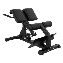 Treniņu sols Gymstick Back Bench Pro cena un informācija | Treniņu soli un stendi | 220.lv