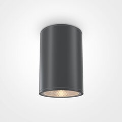 Maytoni āra griestu lampa Bar O306CL-L12GF Grafīts цена и информация | Уличное освещение | 220.lv