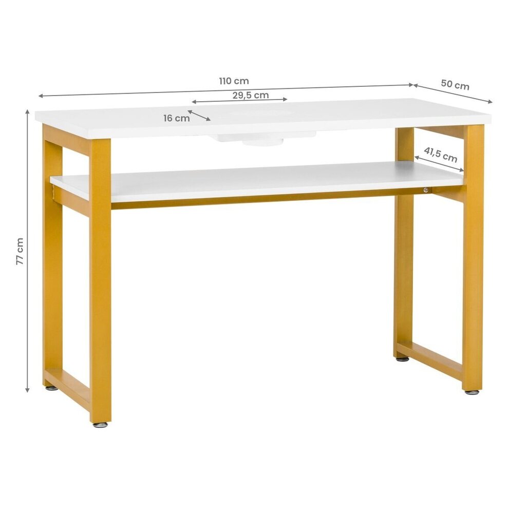 Profesionāls manikīra galds MOD22G ar iebūvētu putekļu savācēju MOMO S41 cena un informācija | Mēbeles skaistumkopšanas saloniem | 220.lv
