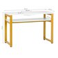 Profesionāls manikīra galds MOD22G ar iebūvētu putekļu savācēju MOMO S41 cena un informācija | Mēbeles skaistumkopšanas saloniem | 220.lv