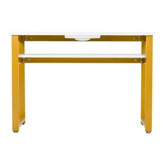 Профессиональный маникюрный стол MOD22G со встроенным пылесборником MOMO S41 цена и информация | Мебель для салонов красоты | 220.lv